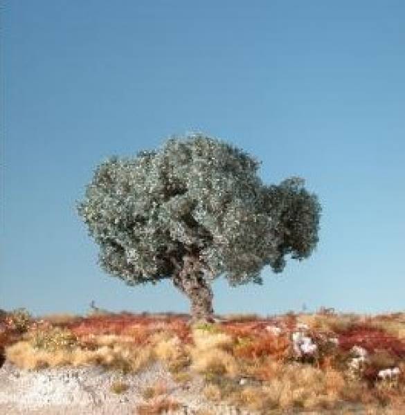 Olive tree (1:87) summer